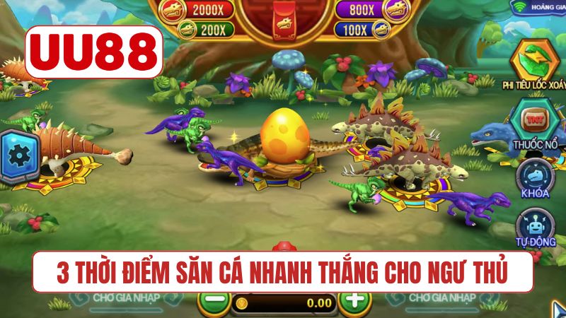3 thời điểm săn cá nhanh thắng cho ngư thủ