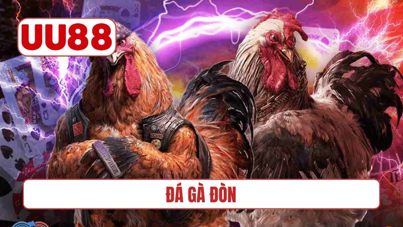Đá gà đòn
